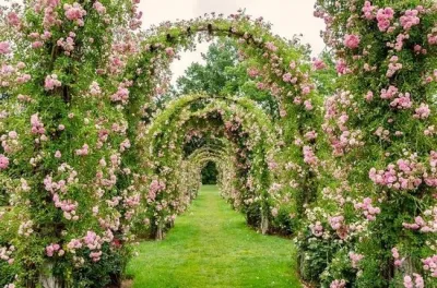 Фотография страницы