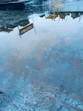 Фото данного продукта 